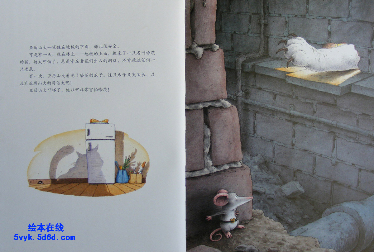 小老鼠亚历山大 (05),绘本,绘本故事,绘本阅读,故事书,童书,图画书,课外阅读
